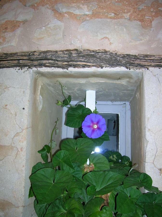 Des Baux * Bédoin
